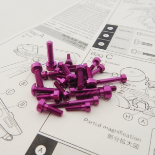 10PX Light Weight Screw Set